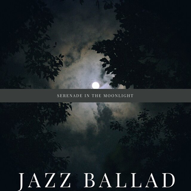 Serenade in the Moonlight