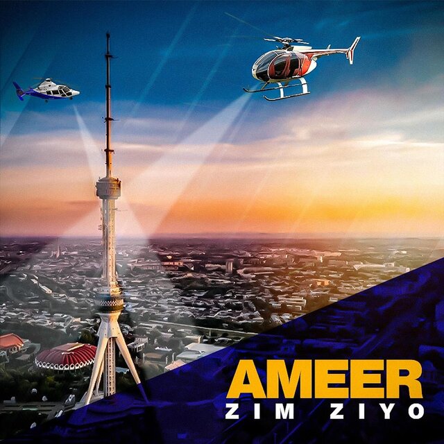 Zim Ziyo
