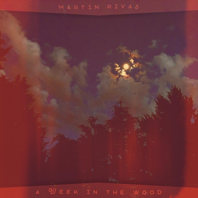 A Week in the Wood