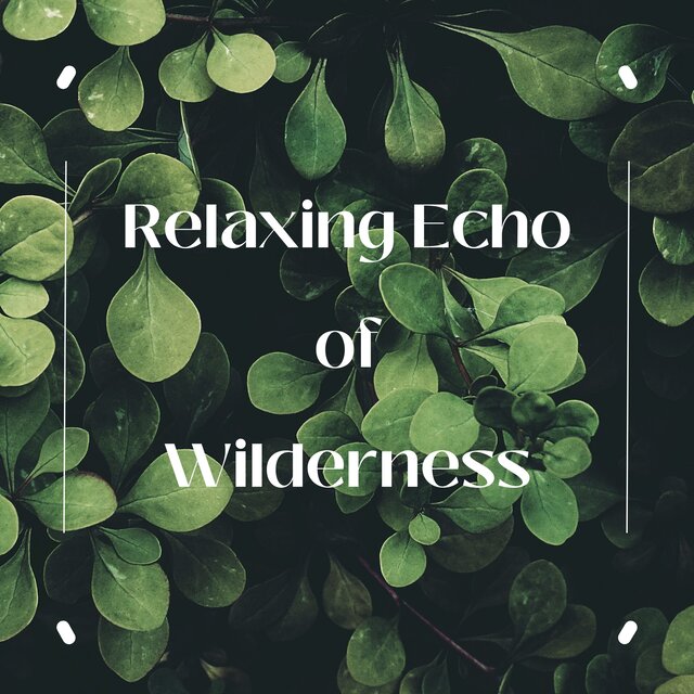 Relaxing Echo of Wilderness: Serene Nature Sounds for Mindful Meditation