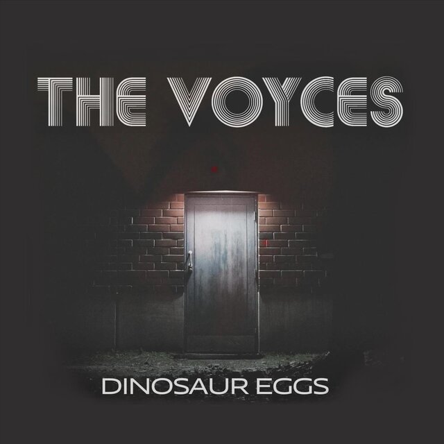 Dinosaur Eggs