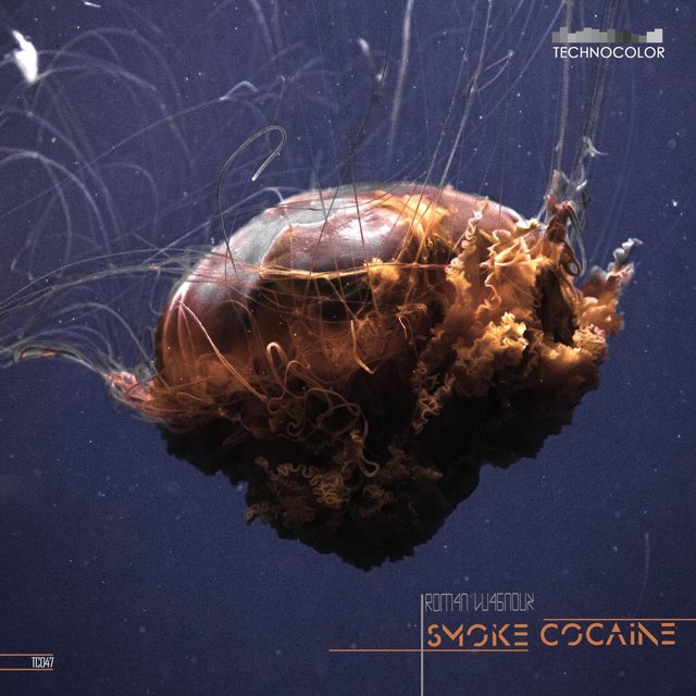 Smoke Cocaine