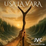 Usa la vara