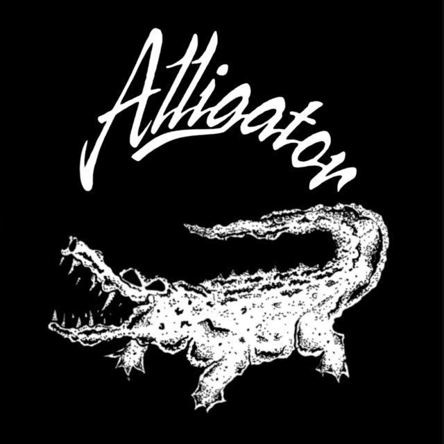 Alligator