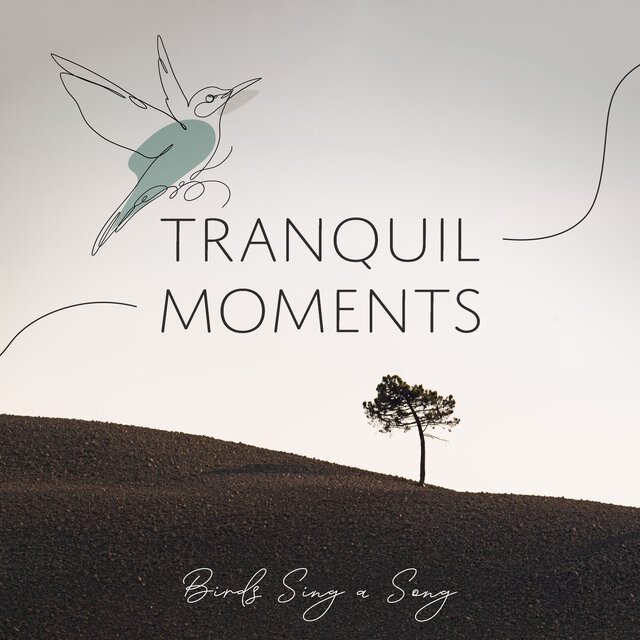 Tranquil Moments