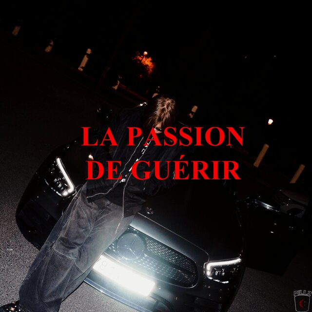 LA PASSION DE GUÈRIR