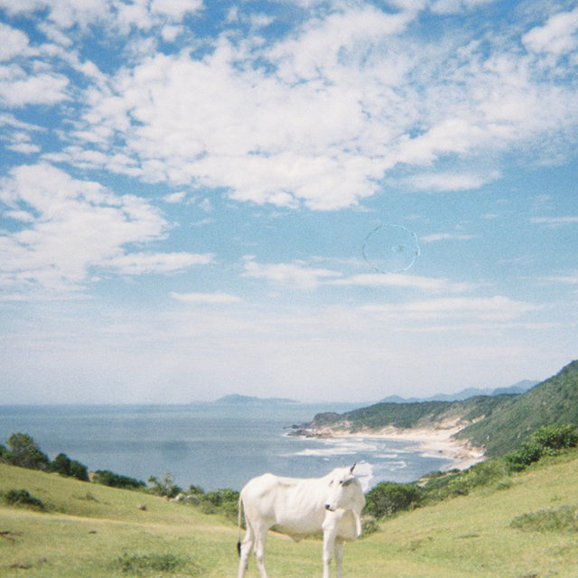 Maço