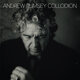 Cover art for album Collodion by Andrew Rumsey