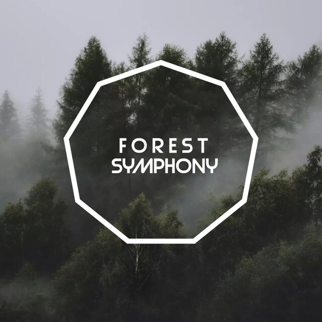 Forest Symphony