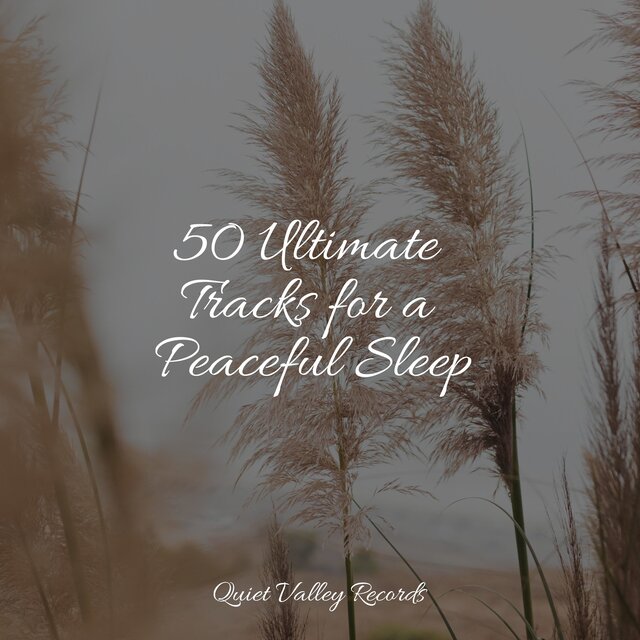 50 Ultimate Tracks for a Peaceful Sleep