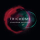 Cover art for album Unknown Prophet by Trichome