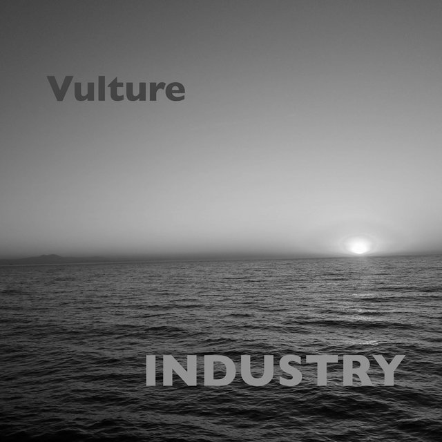 Vulture
