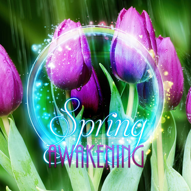 Spring Awakening – The Best Relaxing New Age Music with Nature Sounds, Meditation Music with Bird Sounds and Grasshoppers, Soothing Ocean Sound for Relaxation