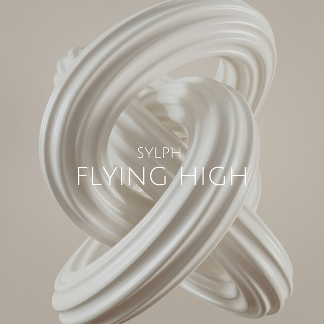 Flying High