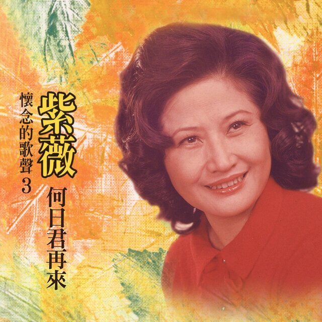 何日君再來 (紫薇懷念的歌聲3)