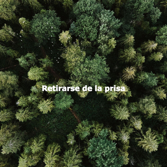 Retirarse de la prisa