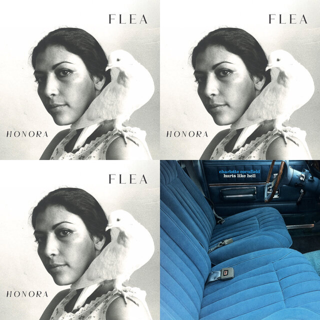 Cover art for album New Music: March 2026 - Flea, Charlotte Cornfield & more by User