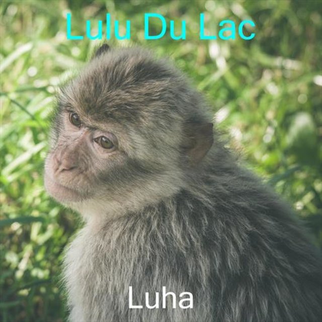 Lulu Du Lac