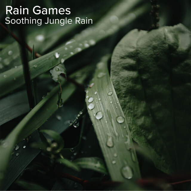 Soothing Jungle Rain
