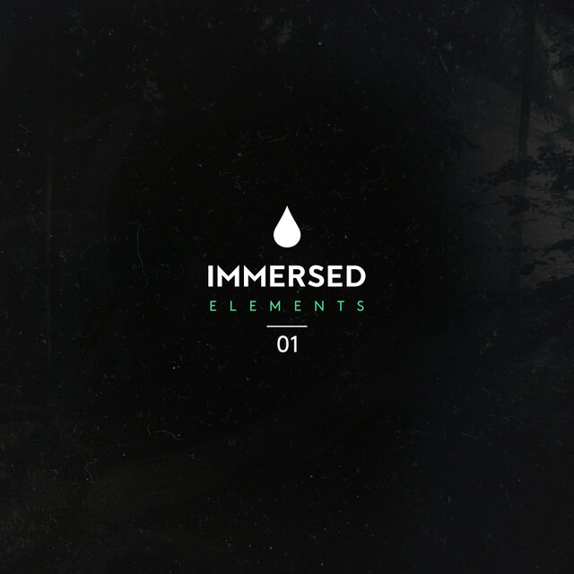 Immersed Elements 01