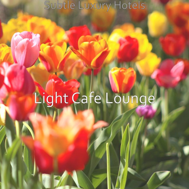 Subtle Luxury Hotels