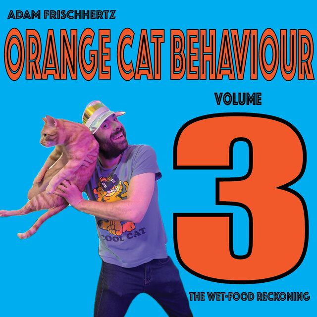 Orange Cat Behaviour, Vol. 3: “The Wet-Food Reckoning”