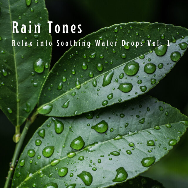 Rain Tones: Relax into Soothing Water Drops Vol. 1
