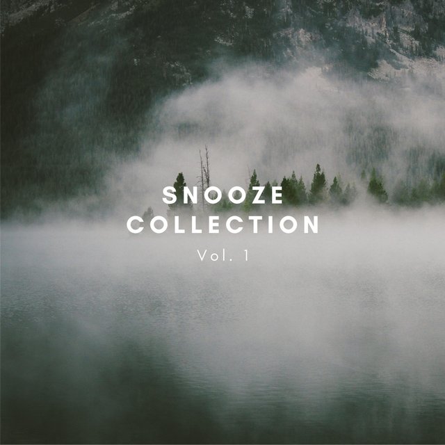 Snooze Collection, Vol. 1