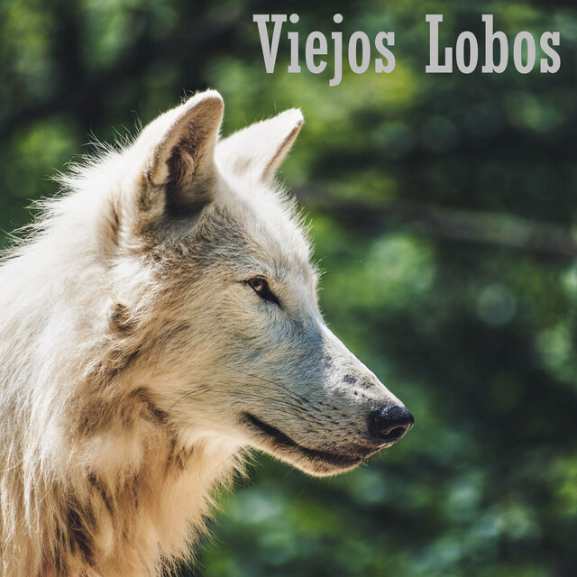 Viejos lobos (Remastered)