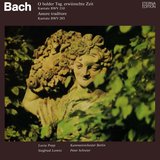 Amore traditore, BWV 203: Arie: 
