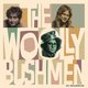 Cover art for album In Shambles by The Woolly Bushmen