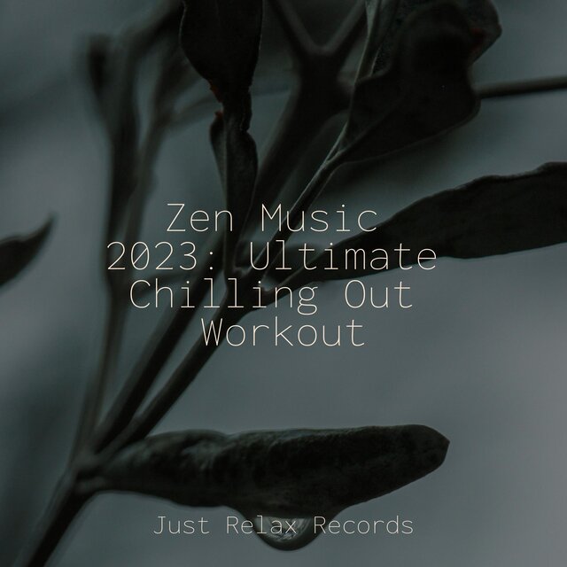Zen Music 2023: Ultimate Chilling Out Workout