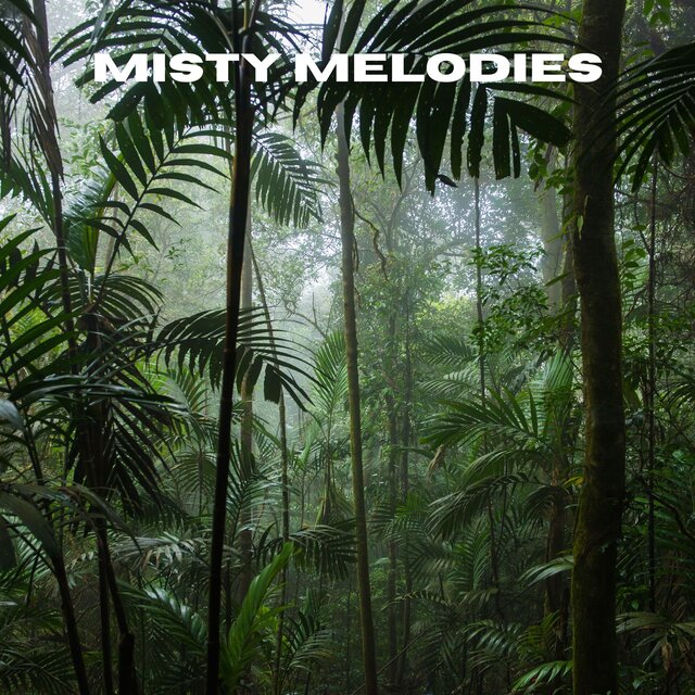 Misty Melodies