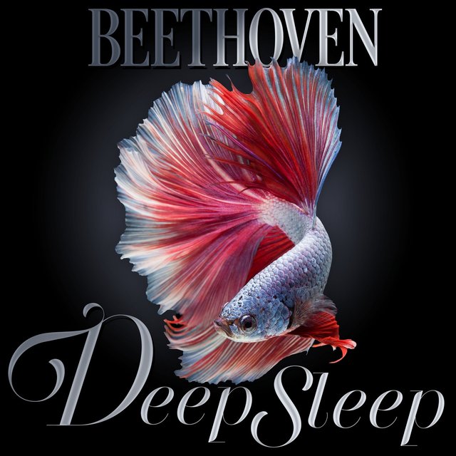 Beethoven Deep Sleep