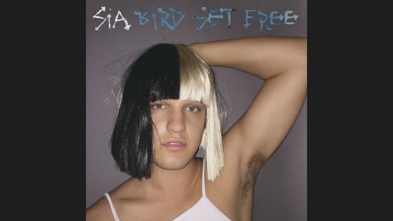 Bird Set Free (Official Audio)