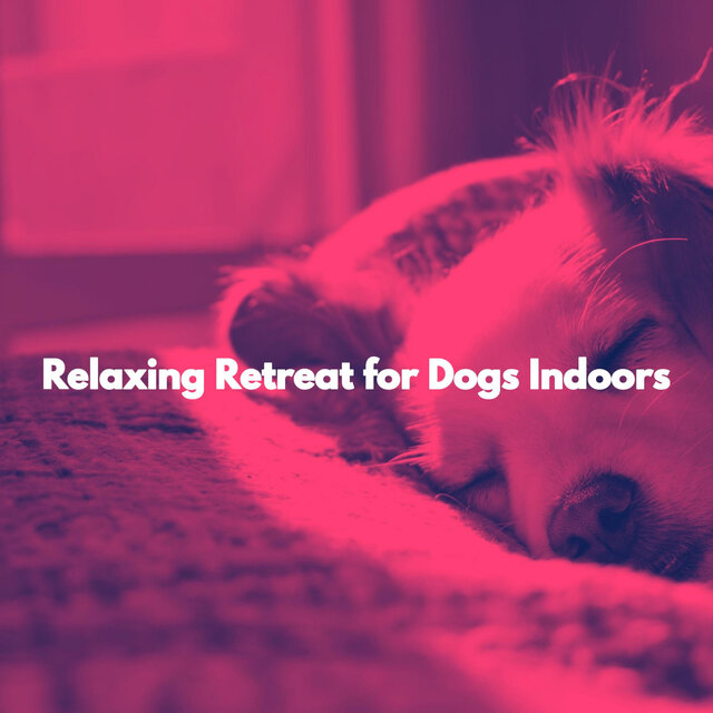 Relaxing Retreat for Dogs Indoors