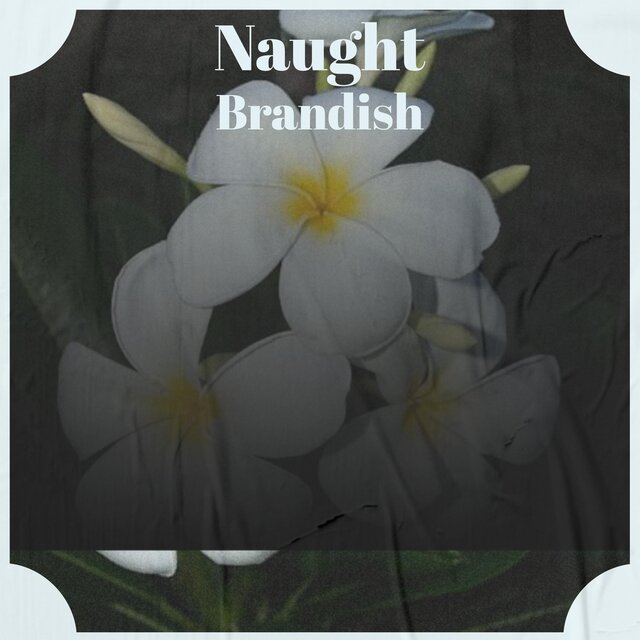 Naught Brandish