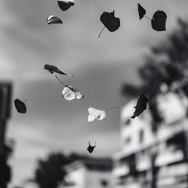 Movimento