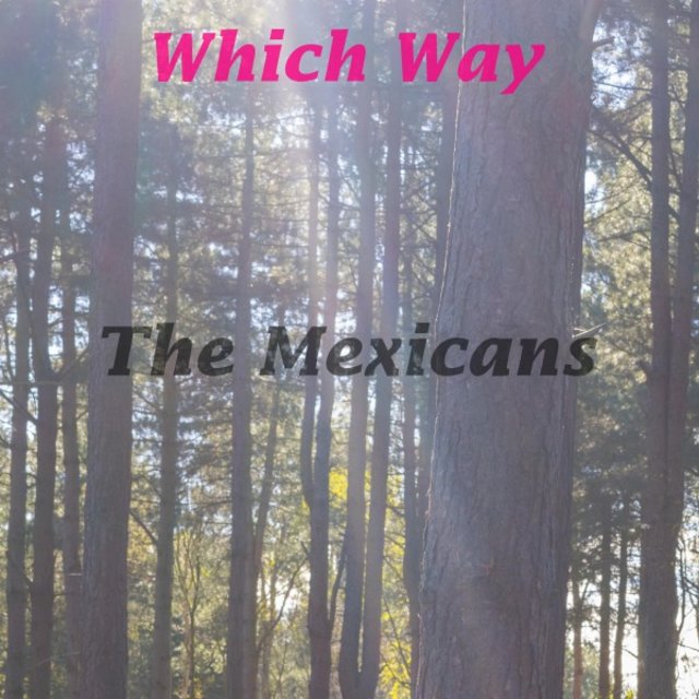 Which Way