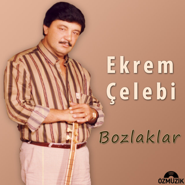 Bozlaklar
