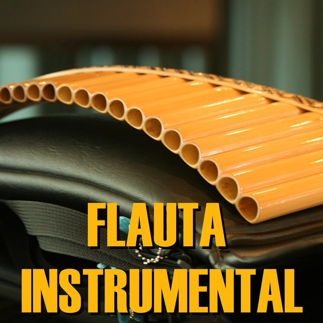 Flauta Instrumental