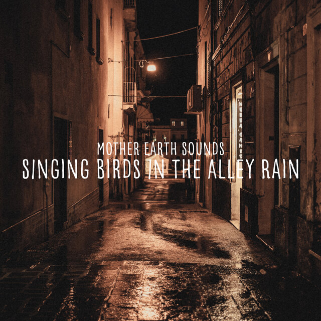 SInging Birds In the Alley Rain