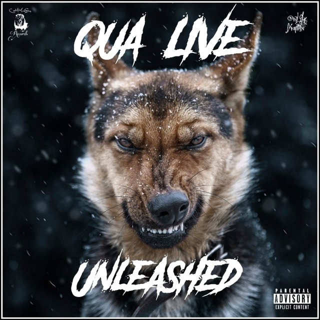 Unleashed