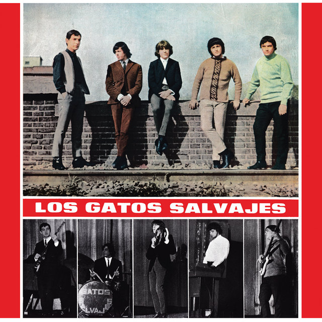 Los Gatos Salvajes