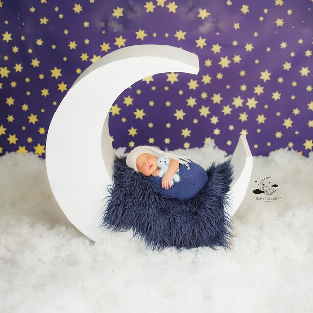 Moonlit Cradle