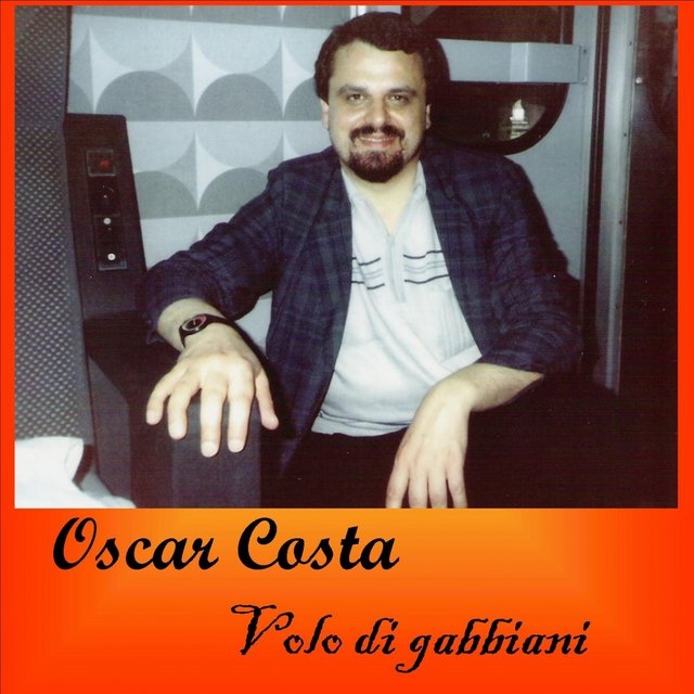 Volo di gabbiani