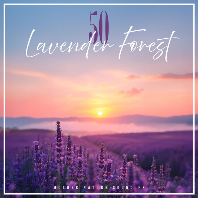 50 Lavender Forest