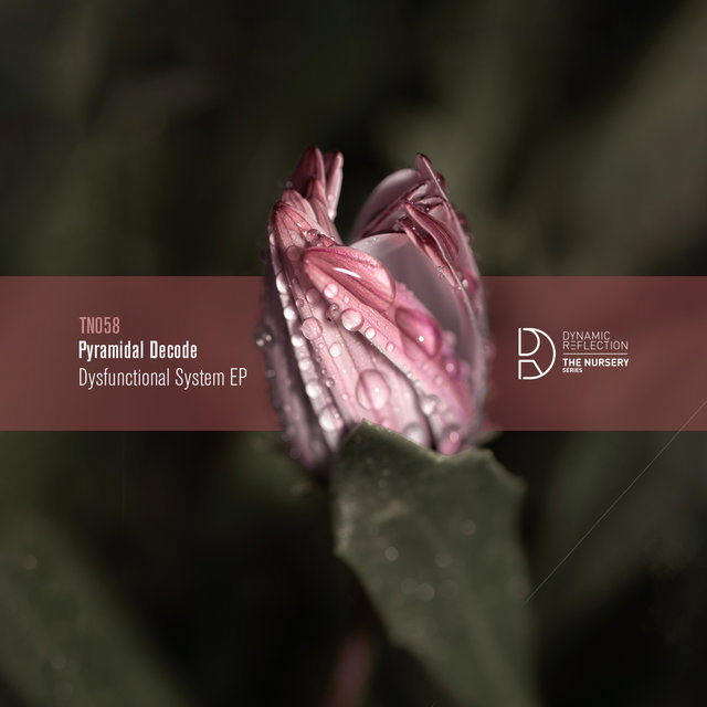 Dysfunctional System EP