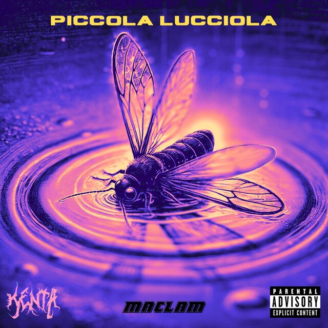 PICCOLA LUCCIOLA