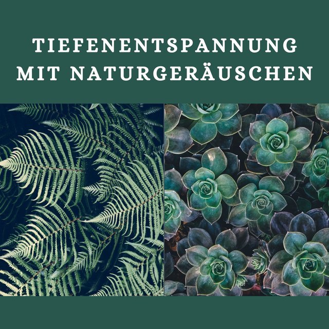 Tiefenentspannung mit Naturgeräuschen